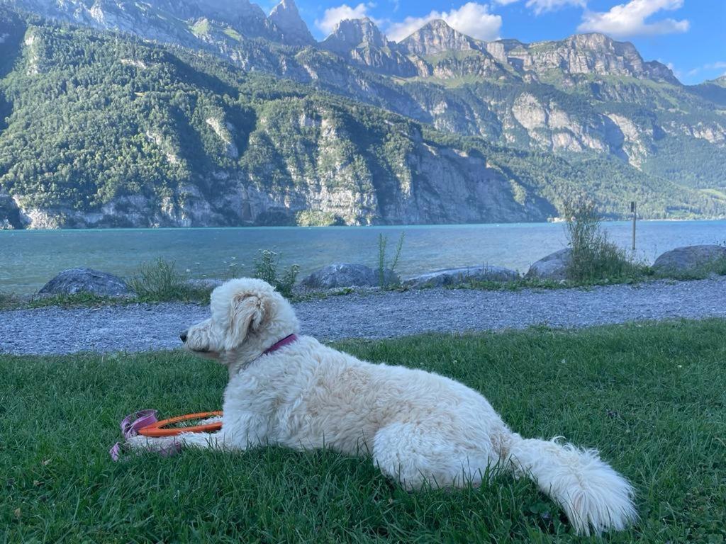 Doodle'S Amazing Chalet -Walensee - Flumserberg - Churfirsten - Heidiland - Pool - Sauna Mols Zewnętrze zdjęcie